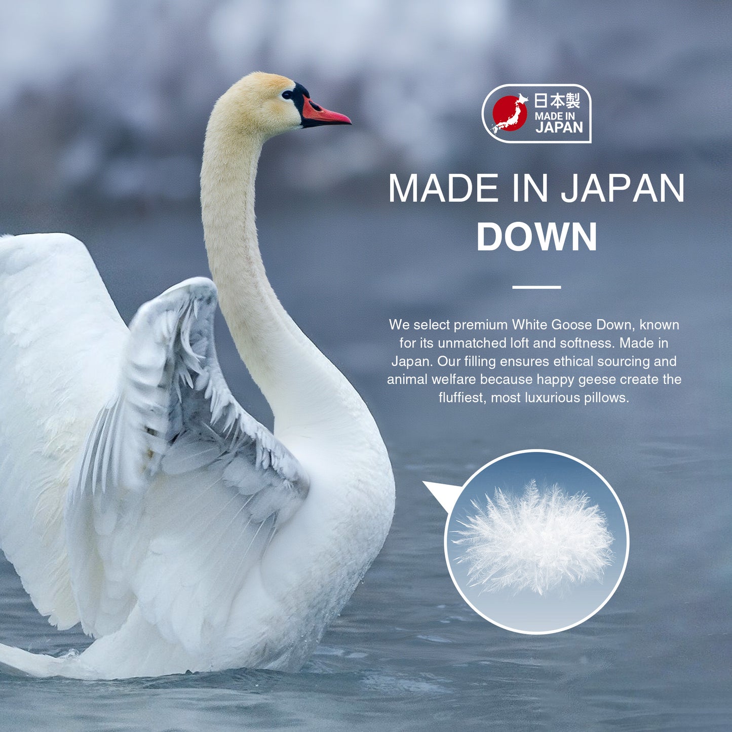 UNIKOME White Goose Down Feather Pillows - 100% Organic Cotton Cover - Queen Size Pillow Set of 2, Made in Japan Pillow for Sleeping